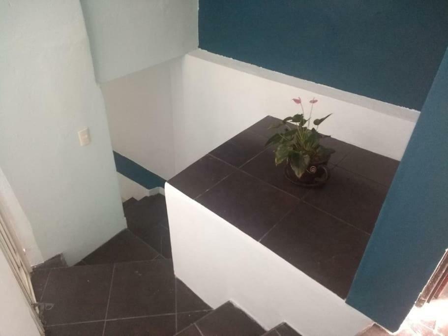 Casa Habitacion 과나후아토 외부 사진